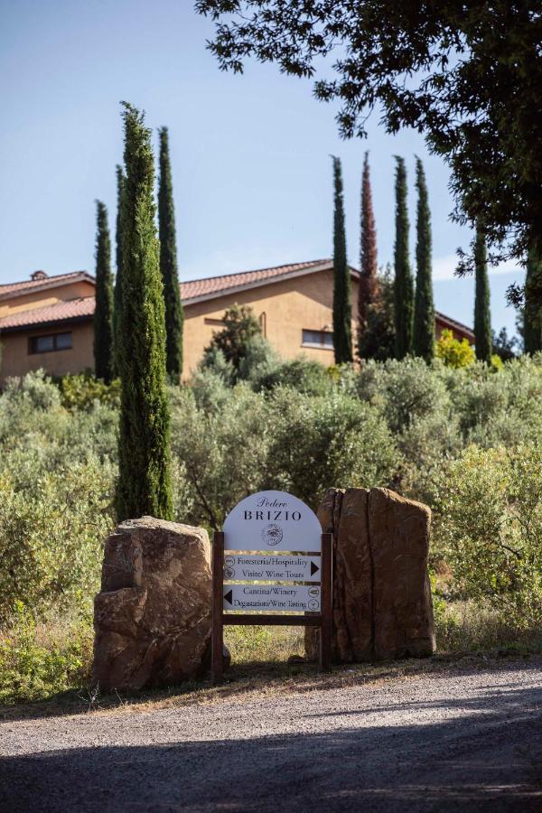 Podere Brizio Montalcino Exterior photo